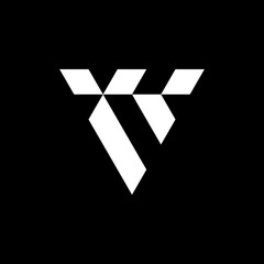 letter V logo