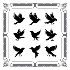 Silhouette Compilation of Wild Birds