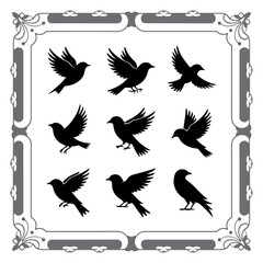 Classic Bird Shapes for Digital Art