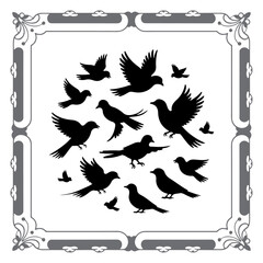 Black Bird Vector Elements Collection