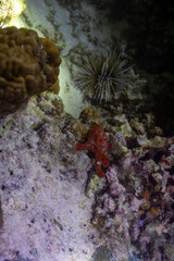 Hilutungan Island 3