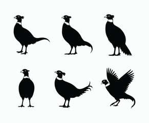 Simple Wildlife Bird Ring Necked Pheasant Silhouette EPS Template