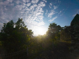 Obraz premium Scenic Sunrise with Lush Greenery