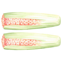 Fresh and vibrant food illustration of sliced celery showcasing its texture clipart isolated on transparency background