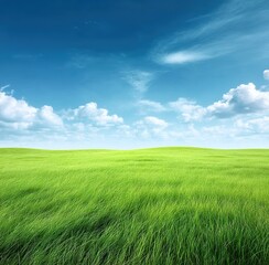Fototapeta premium Aerial Green Expanse. Top-down view of uniform green grassland symbolizing ecological balance. Applications: sports field promotions, nature documentaries, or digital wallpapers.