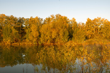 Morning fog on the lake at dawn. Colourful glow in the sky, with surrounding forest trees reflected...