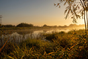 Morning fog on the lake at dawn. Colourful glow in the sky, with surrounding forest trees reflected...