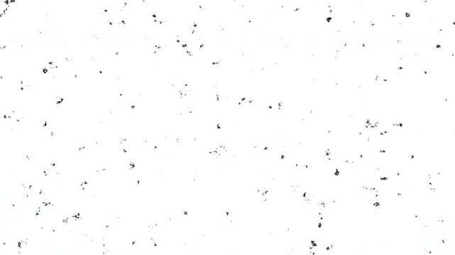 Monochrome many black moving liquid shapes in grunge textured stile on white background, backdrop old movement animation or moving  spray paint splatter moving shapes and stains