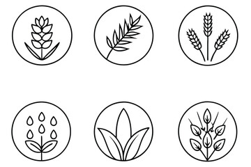 Collection of Juice Production Techniques