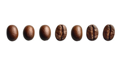 5 coffee beans arranged in a row, against on Png Format and Transparent Background