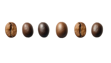 5 coffee beans arranged in a row, against on Png Format and Transparent Background