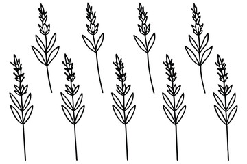 lavender sprig drawing