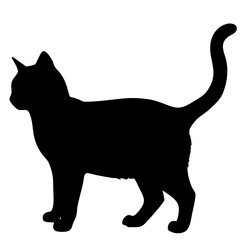 Cat vector icon isolated on white background
