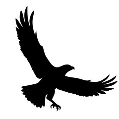 flaying eagle isolated on white background