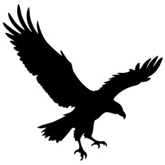 flaying eagle isolated on white background