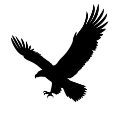 flaying eagle isolated on white background