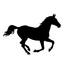 Horse isolated on white background