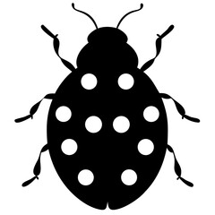 Ladybird isolated on white background