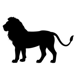 Lion isolated on white background