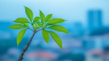 Obraz premium Lush green leaves against blurred cityscape