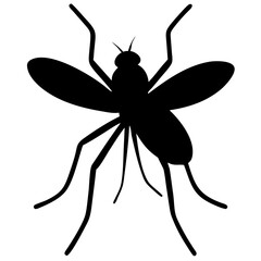 Mosquito isolated on white background