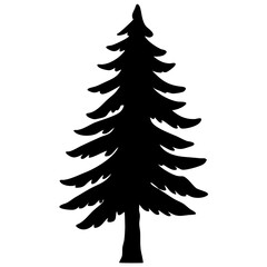 Pine tree isolated on white background