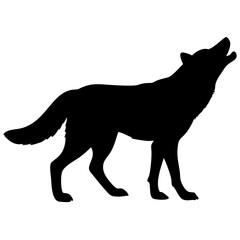 Wolf isolated on white background