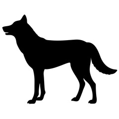 Wolf isolated on white background