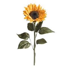 Bright yellow sunflower nature floral photography minimalist style