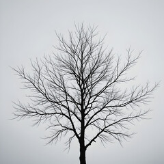 silhouette of a tree