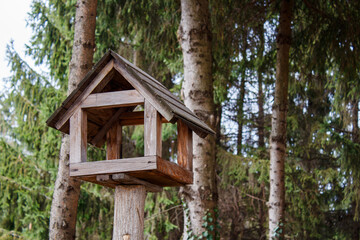A bird house in the middle of a forest