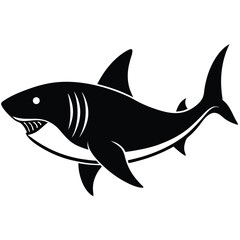 Shark Ocean Predator Vector