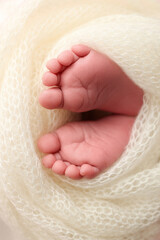 Soft feet of a newborn in a white woolen blanket. Close up of toes, heels and feet of a newborn baby