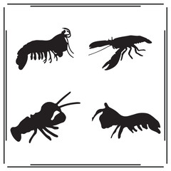 Mantis Shrimp silhouette, Mantis Shrimp illustration , Mantis Shrimp clipart, Mantis Shrimp vector ,Mantis Shrimp icon , black Mantis Shrimp, Mantis Shrimp illustration on white background,