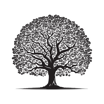 Ohio Buckeye tree Design - Minimalist Vector - Illustration of Ohio Buckeye tree - Tree Silhouette - Tree Black and White Art.
