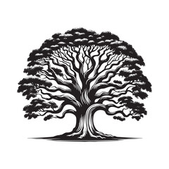 Fototapeta premium Ohio Buckeye tree Design - Minimalist Vector - Illustration of Ohio Buckeye tree - Tree Silhouette - Tree Black and White Art.