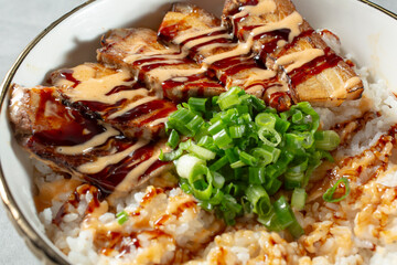 A closeup view of a chashu rice bowl.
