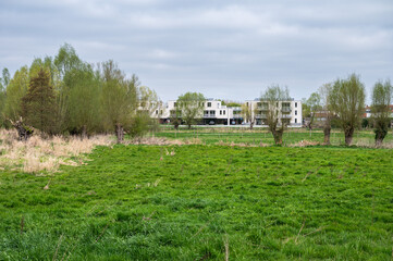 Green lawn of the Paddenbroek nature reserve in Kluisbergen, East Flemish Region, Belgium,