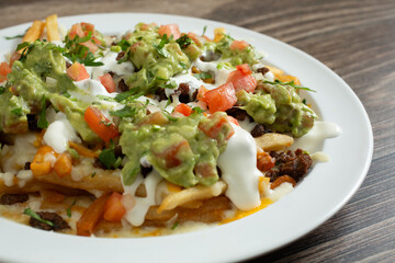 A closeup view of a plate of carne asada fries.