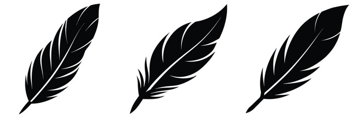 Obraz premium set of feathers, feather png
