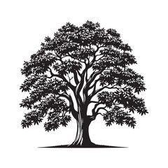 Pecan Tree Vector - Pecan tree minimalist Design - Pecan tree Illustration - black and white pecan tree art.