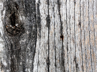 Rough aged wooden surface with knot detail
