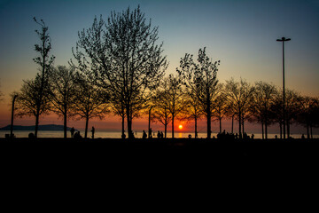 Silhouette image of people walking and fishing on the beach among trees at sunset
