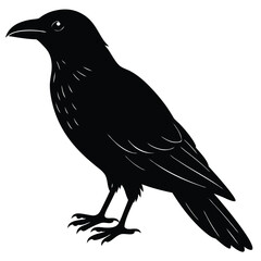 Obraz premium Black crow silhouette vector illustration of a wild bird on a branch