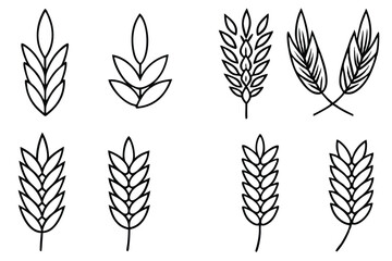 Assorted Oat Grains Set