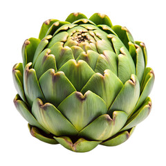 Close up of a green artichoke isolated on transparent background