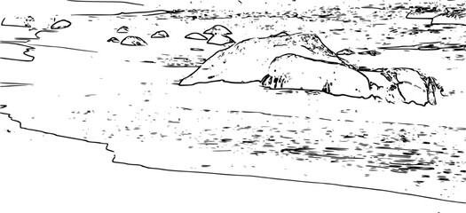Rock beach line art