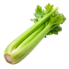 Fototapeta premium Fresh green celery stalks isolated on transparent background