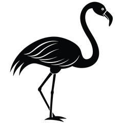 Cute cartoon ostrich vector illustration, an isolated white bird animal from wildlife nature