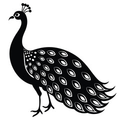 Vector illustration of a wild peacock bird with vibrant feathers